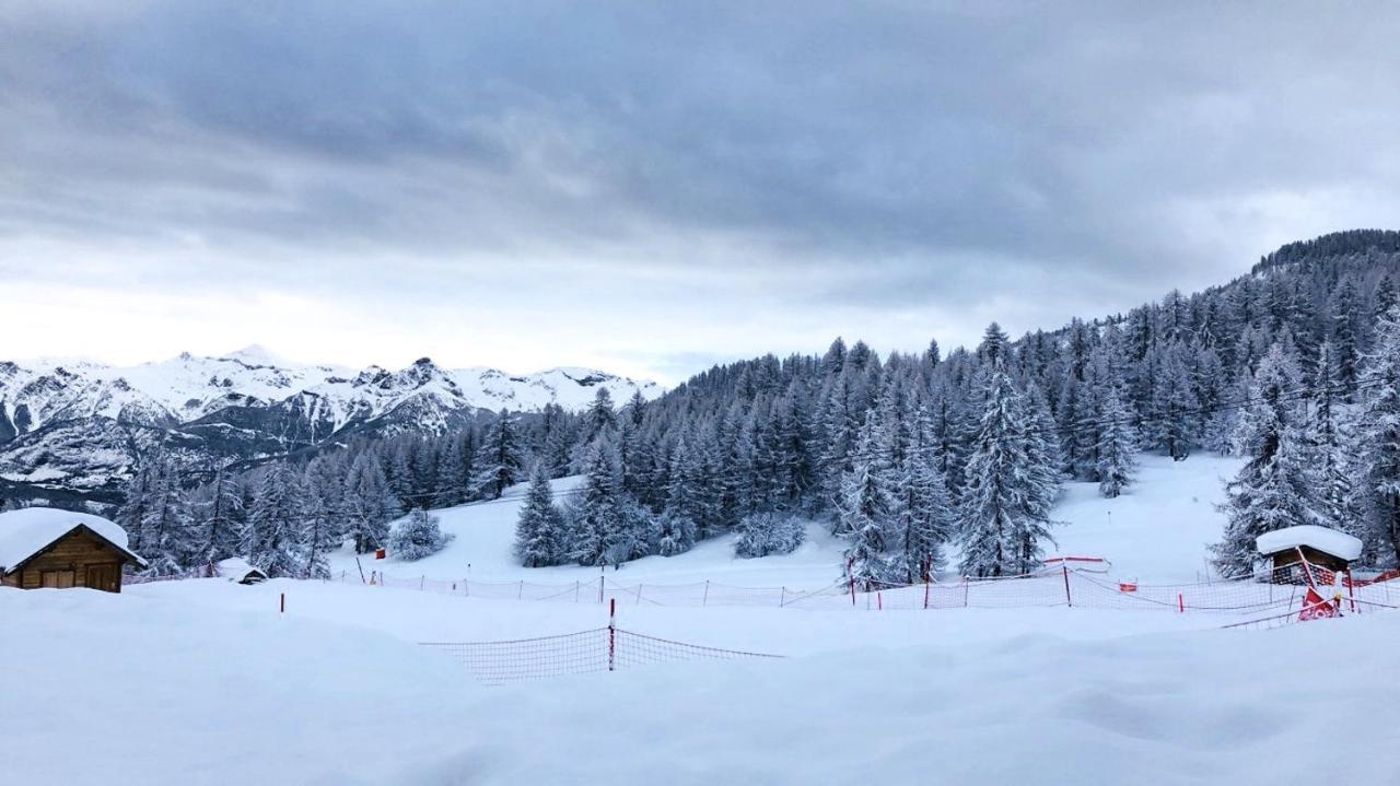 Les Chalets Du Parc Aux Etoiles - Cimes Et Neige Apartment Puy-Saint-Vincent Luaran gambar